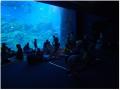 【仙台うみの杜水族館】不思議がいっぱいの海にまつわ