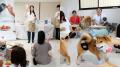 【イベントレポート】満足度&愛犬の食いつき100%!ヒ 【イベントレポート】満足度&愛犬の食いつき100%!ヒ