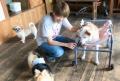 【イベントレポート】満足度&愛犬の食いつき100%!ヒ 【イベントレポート】満足度&愛犬の食いつき100%!ヒ