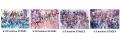 『hololive 7th fes. Ridin' on Dreams』全国の映画 『hololive 7th fes. Ridin' on Dreams』全国の映画