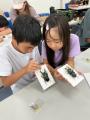 「サマーフェスタ」を開催します！（国営木曽三川公園