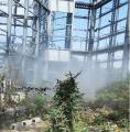 大阪市 咲くやこの花館『虫を食べる植物展』世界の食