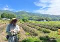 日本茶800年の歴史の起源に触れる。佐賀・脊振山に伝