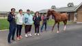株式会社K2、所有3頭目となる競走馬の馬名を「ソトッ 株式会社K2、所有3頭目となる競走馬の馬名を「ソトッ