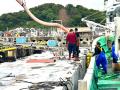 【能登半島地震 復興支援】輪島のカニ漁を救え!賞味 【能登半島地震 復興支援】輪島のカニ漁を救え!賞味