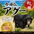 “幻の豚”「今帰仁アグー」がまるごと一頭（約30kutf-8