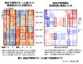 敏感肌タイプを遺伝子レベルで明らかに