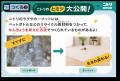 ミライシード「企業・団体コラボコンテンツ」開始１年