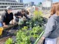 4社連携で食品ロスを活用した屋上菜園プロジェクトを 4社連携で食品ロスを活用した屋上菜園プロジェクトを