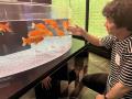 【すみだ水族館】すみだ水族館の夏は“発見”がいutf-8
