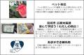 阪神タイガース×尼崎市110周年 第2回「あまトラフェス