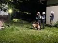 RDTA 国際救助犬ナイター試験 2026 in 富士見 RDTA 国際救助犬ナイター試験 2026 in 富士見