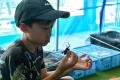 見て、触れて、知る。体感型イベント「カブトムシハウ