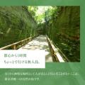 【横須賀市ふるさと納税】横須賀の魅力が詰まった大人