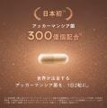 【KINS】日本初*|アッカーマンシア菌300億個配合した 【KINS】日本初*|アッカーマンシア菌300億個配合した