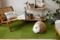 室内用人工芝ホームタイル”shiba-cocochi”ビッグサイ 室内用人工芝ホームタイル”shiba-cocochi”ビッグサイ