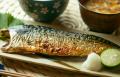 骨取り魚の飯田商店、年間サバ取扱量約1.5万トン 骨取り魚の飯田商店、年間サバ取扱量約1.5万トン