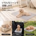 「毎日洗って繰り返し使える」洗えるペットシーツがリ
