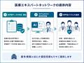 専門医が医療記事241本を検証、4割に医学的な指摘 専門医が医療記事241本を検証、4割に医学的な指摘