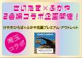 ヘラクレスオオカブトなど世界の人気昆虫が大集合! ヘラクレスオオカブトなど世界の人気昆虫が大集合!