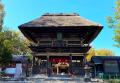 【琥珀の旅】さんふらわあで航く「人吉温泉 あゆの里-