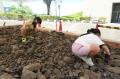 ［文化の森］徳島県立博物館で「化石発掘体験」を7月1