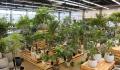植物のある空間を提案するアークランズの新業態「武蔵 植物のある空間を提案するアークランズの新業態「武蔵