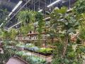 植物のある空間を提案するアークランズの新業態「武蔵 植物のある空間を提案するアークランズの新業態「武蔵
