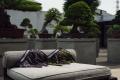 TRADMAN'S BONSAI × WACOAL MEN 盆栽をモチーフにし TRADMAN'S BONSAI × WACOAL MEN 盆栽をモチーフにし