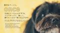 伊勢神宮から車で5分。「愛犬を、アートに。」予約1年