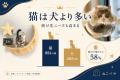 旅行シーズンの“猫あずけ”は、空港から満室に。猫専門 旅行シーズンの“猫あずけ”は、空港から満室に。猫専門