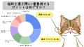 猫のお世話をする人の72％が猫砂の粉じんが気にutf-8