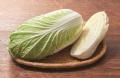 【しゃぶしゃぶ温野菜】夏休みのご家族を応援！utf-8