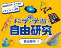 【自由研究におすすめ】宝石のような結晶を育てて観察 【自由研究におすすめ】宝石のような結晶を育てて観察