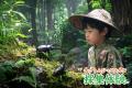 三島スカイウォークで親子で空・森・冒険の体験！「カ
