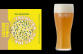 新規ブルワリー参画＆ラインナップ拡充！DREAMBEERに