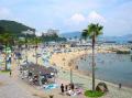 和歌山市内の海水浴場がオープンし、夏本番を迎えます
