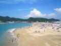 和歌山市内の海水浴場がオープンし、夏本番を迎えます