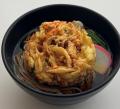 長野県HAKUBA VALLEY 「つがいけマウンテンリゾート」