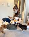 【福岡2店舗目】保護犬猫×就労支援で話題の「ANELLA C
