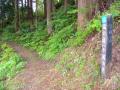 【新発売】日本海と信州をつないだ「塩街道」の物語を