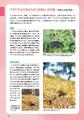似ているチョウも写真でくらべることで、よくわかる！