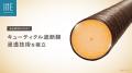 自社研究所 JBIST、イオン液体技術を用いた「キューテ