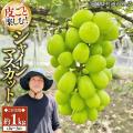 ふるさと納税サイト「ふるなび」が、8月2日（日）まで