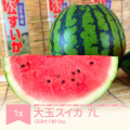 ふるさと納税サイト「ふるなび」が、8月2日（日）まで