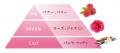 香水調の香り際立つ『プレミアムリッチパルファutf-8