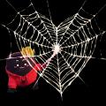 TikTok LIVEにて、実写映画『スパイダーマン:ブラン TikTok LIVEにて、実写映画『スパイダーマン:ブラン