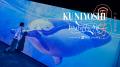 【一旗プロデュース】「KUNIYOSHI IMMERSIVE ART in 