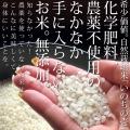 ファッションブランドantiqua、希少な自然栽培米『い
