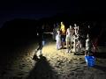 夜は幻想的なウミホタル、翌朝は